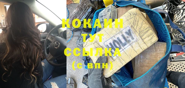 дмт Краснослободск
