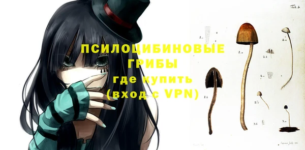 дмт Краснослободск