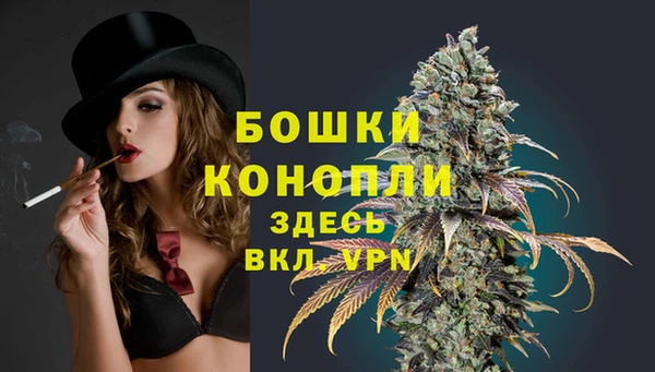дмт Краснослободск