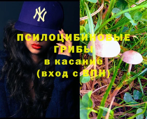 мдпв Красноперекопск