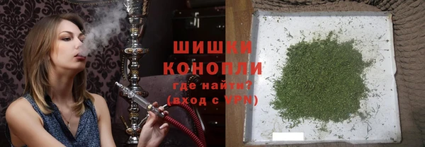 дмт Краснослободск