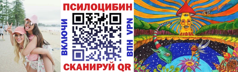 Галлюциногенные грибы MAGIC MUSHROOMS  Купить закладки  Кыштым 